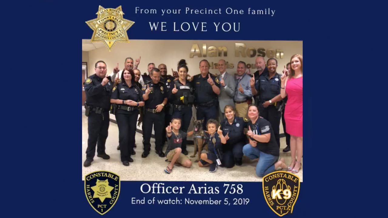 “Ella llegó a nuestra estación, trabajó y amó a uno de nuestros oficiales caninos K9”.