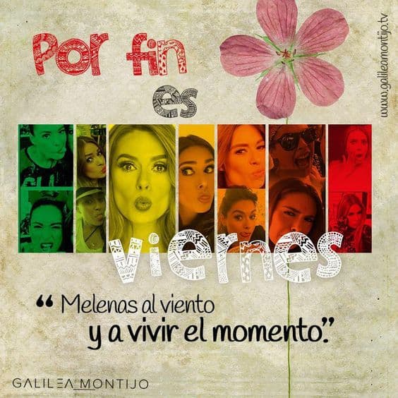 Las ataduras no son el camino a la felicidad.