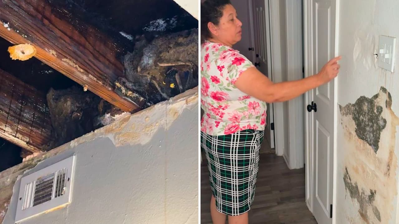 <h3 class="cms-H3-H3">El costo de la espera</h3>
<br>
<b>Los residentes de Legacy Loft Apartments pagan entre $1,200 y $1,500 mensuales de alquiler</b>. Sin embargo, muchos de ellos
<b>están luchando por obtener lo que se les prometió: un lugar seguro y habitable.</b>