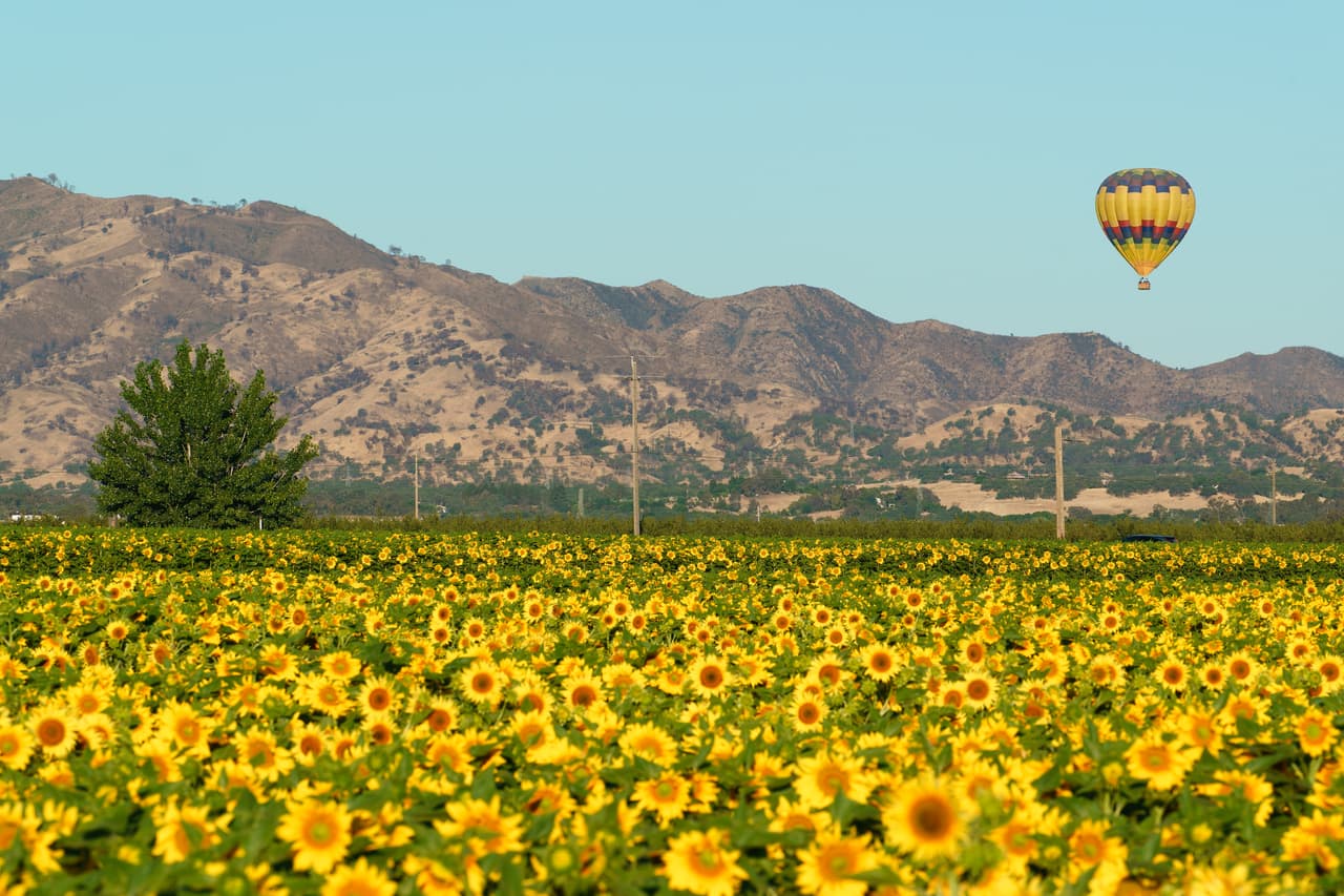 <h2 class="cms-H2-H2"><b>4. Condado de Yolo</b></h2>
<br>Índice de felicidad: 7.27
<br>
<br>Ubicado al norte de California, es uno de los 27 condados originales del estado. Según la Oficina del Censo de los Estados Unidos, la población es de 216,403 habitantes. La sede del condado es Woodland.