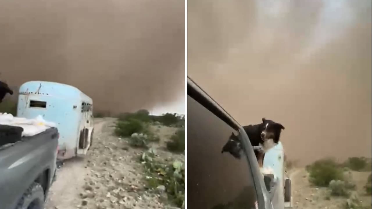 Dos de los presuntos tornados fueron reportados en el municipio de 
<b>Acuña, Coahuila</b>, otro más habría sido observado en Jiménez, cerca de la Carretera 29 y uno más que ya fue confirmado como tornado 
<b>clasificado como EF-1 en el condado Guadalupe, en Texas.</b>
<br>
<br>Las imágenes captadas por habitantes muestran enormes embudos avanzando en medio de fuertes lluvias y ráfagas de viento.
