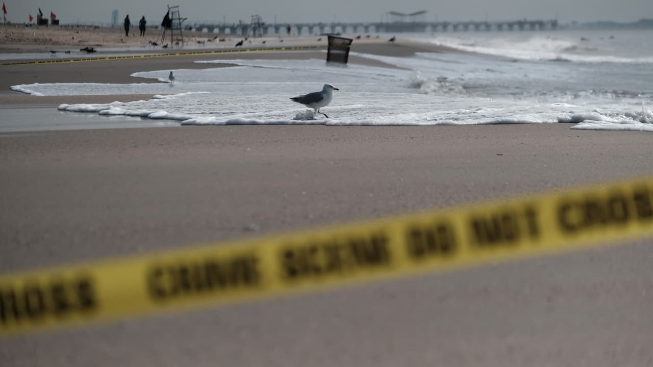 Identifican a quién pertenece la cabeza humana hallada en playa de Florida: es de un joven desaparecido