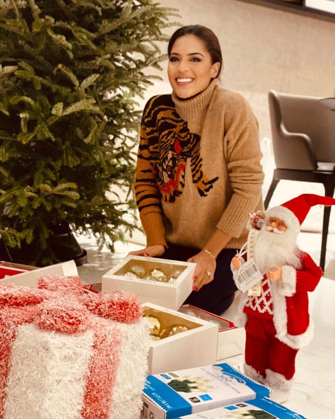 La conductora dominicana no solo ha gozado el espíritu de la Navidad en el show, sino también en su nido de amor con su, ahora, esposo Francesco, quien en este ocasión la hizo de paparazzi mientras arreglaba el árbol.