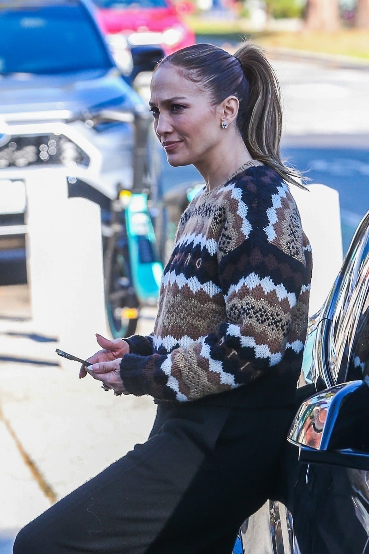 El cabello se lo recogió en una cola de caballo.
<br>