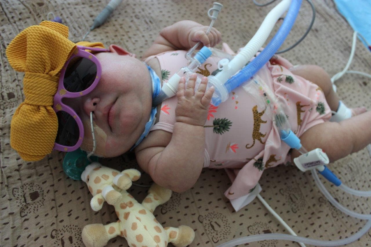 "Yo solo pensé en la idea del comienzo de verano para NICU y ellos manejaron el resto", informó Zilles. De la misma forma, aclaró que los padres demostraron sentirse contentos y lograron encontrar una esperanza en medio del proceso.