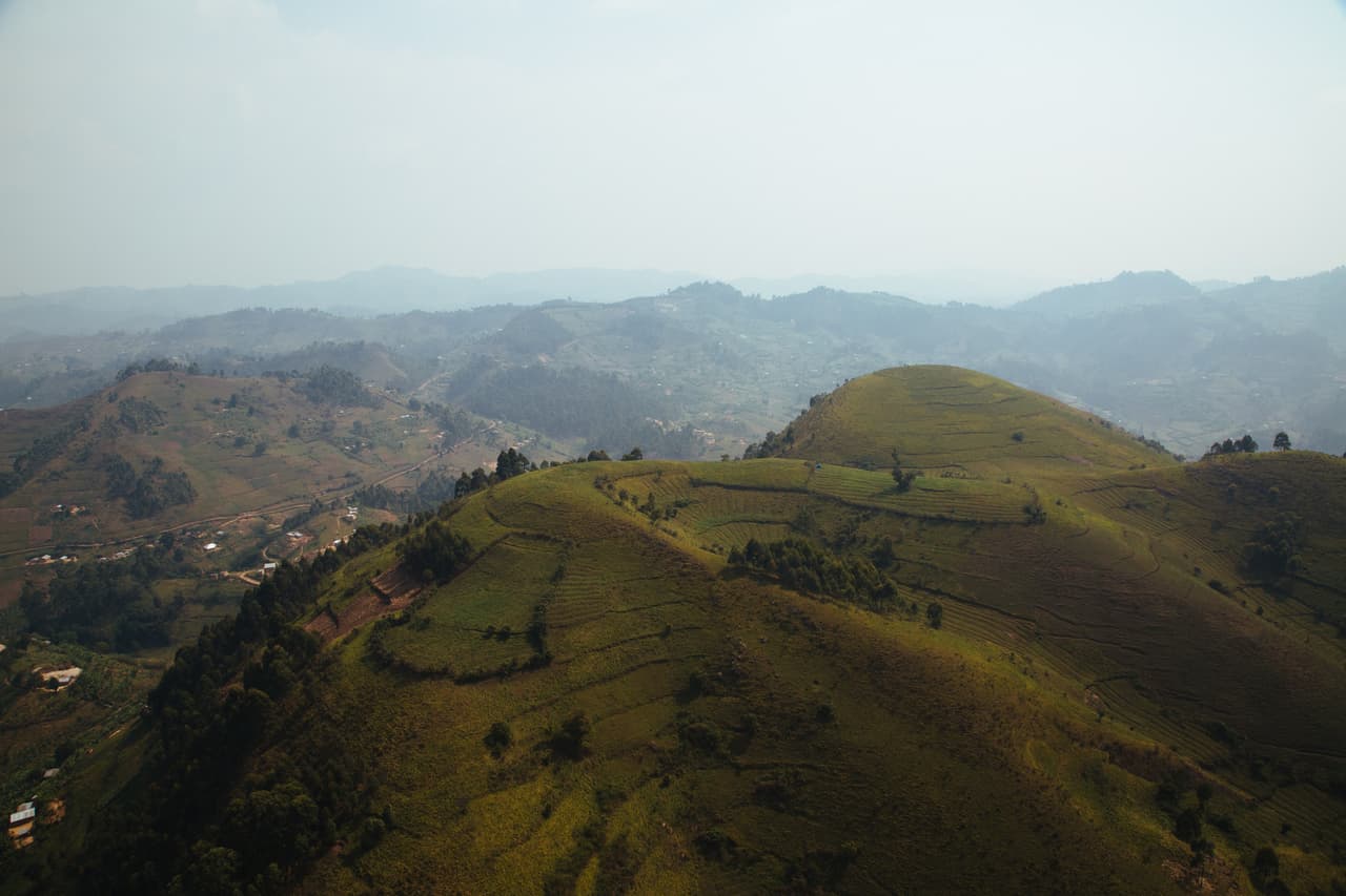 El paisaje montañoso devastado por la deforestación. Esta es una de las mayores amenazas, junto a la caza furtiva y enfermedades, a las reducidas poblaciones de gorilas montañosos. La conversión de tierras para la tala y agricultura reducen el hábitat disponible para los gorilas.