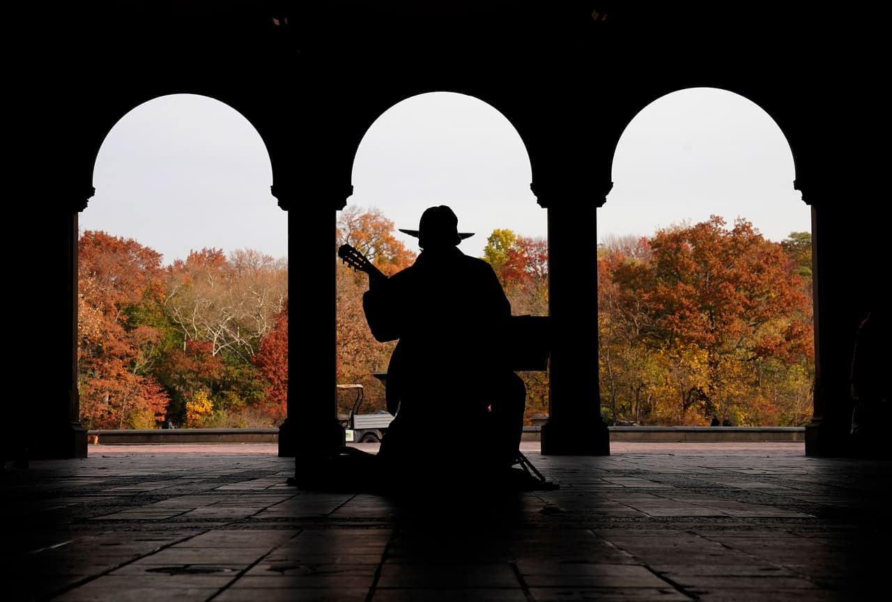Ellis agregó: "Las hojas son muy caprichosas en cuanto a como cambian de color y hemos visto esta variación por años, pero definitivamente vamos a ver cambios en las tendencias en Nueva York relacionados al cambio climático y su efecto en el follaje".