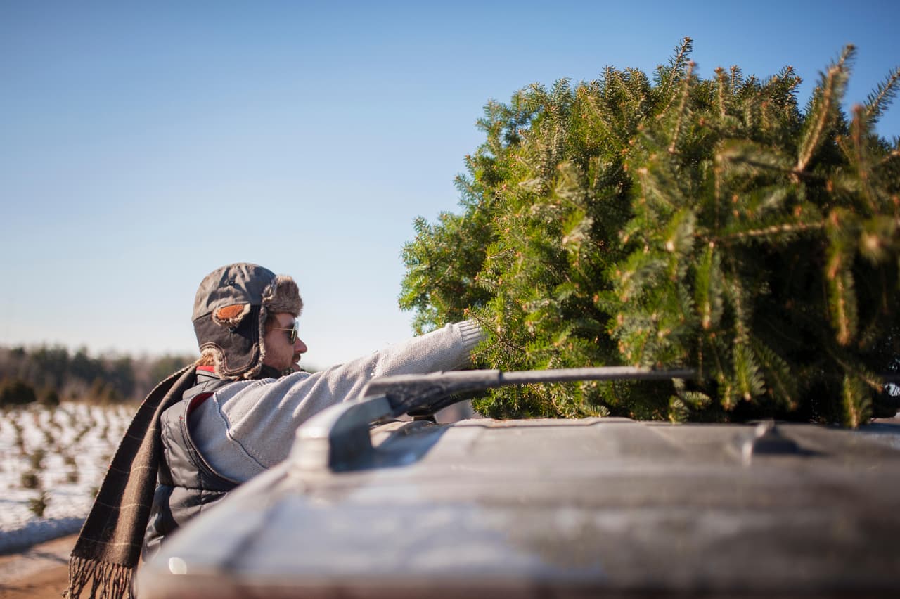 <b>Elder Creek Recovery and Transfer. </b>8642 Elder Creek Rd, Sacramento, CA 95828. Sábado, 8 de enero, de 8 a.m. a 3 p.m. Para llegar de Jackson Highway, dirígete hacia el sur en Florin Perkins Road y da vuelta a la izquierda en Elder Creek Road.