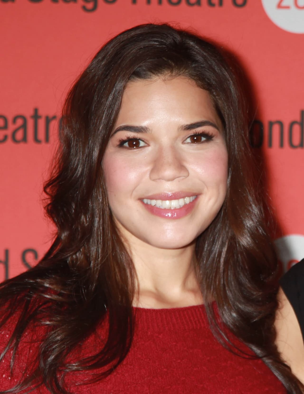 Por un millón de dólares aseguró la actriz América Ferrera su sonrisa luego de ser la imagen de una pasta de dientes.