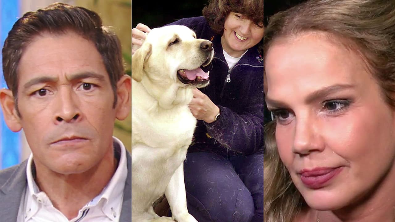 El #Despertómetro: Lo mejor del jueves 3 de noviembre