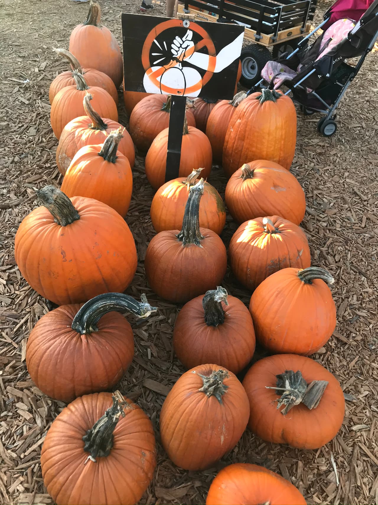 También las hay alargadas, de tallo grueso, textura lisa y relieves muy marcados.