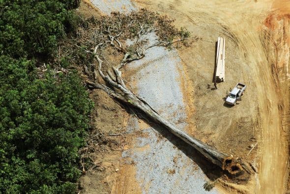 La ONG Amazon Watch, contraria al proyecto, dijo en una nota que "los manifestantes indígenas se apoderaron de las llaves de los camiones y tractores y obligaron a los trabajadores a abandonar a pie el campo estratégico de trabajo Pimental".