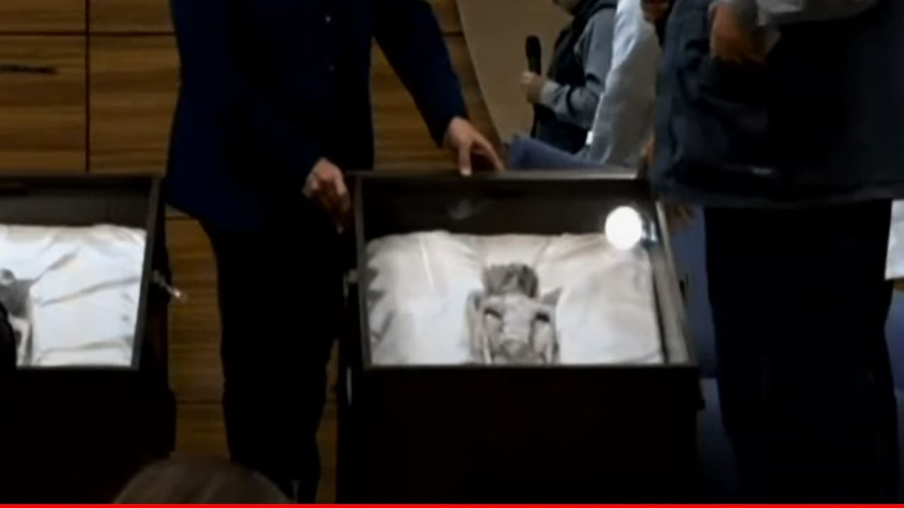 "No queremos llamarlos extraterrestres, porque no lo sabemos. Pero son seres que cambiarán nuestra historia", explicó el periodista y ufólogo Jaime Maussan.