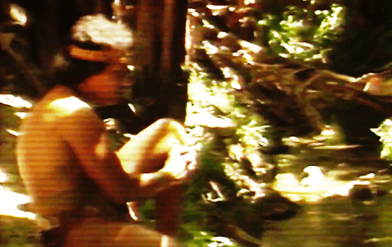 En 1990 Bronco lanzó su sencillo 'Corazón duro'. Del álbum 'Bronco Amigo', la canción fue acompañada con un video clip ambientado en lo que parecía una selva.