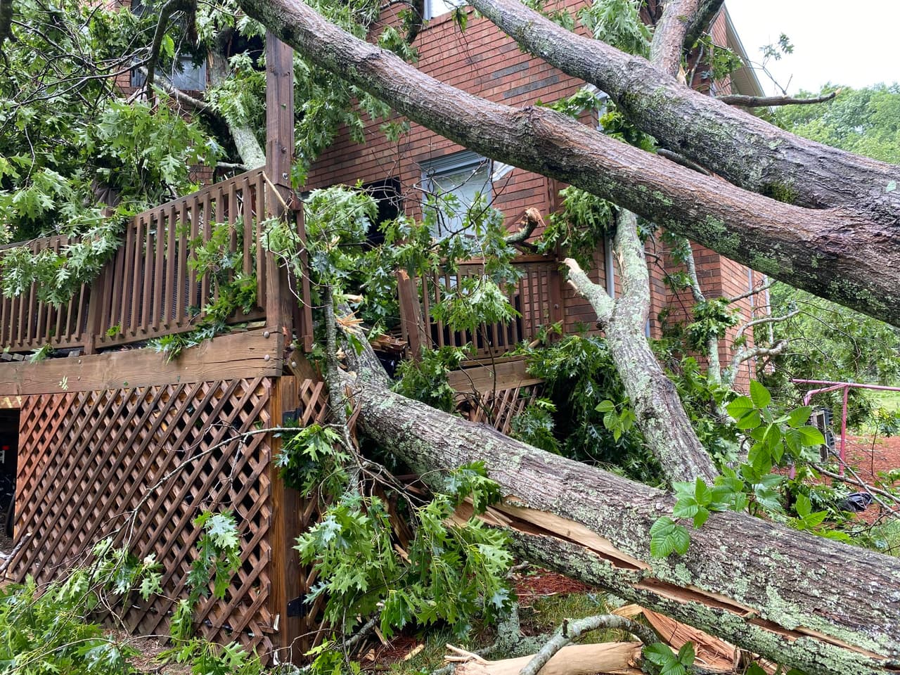 "Por favor eviten el área", dijeron.