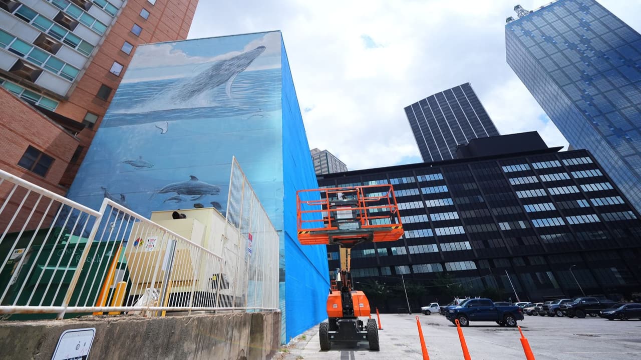 <h3 class="cms-H3-H3">Jóvenes de Dallas piden reglas más claras para proteger murales públicos</h3> La reacción también llegó desde la comunidad. 
<br>Según AP, Katy Rose Cusick y Joshua Hurston, estudiantes de último año de una secundaria de artes escénicas y visuales en Dallas, 
<a href="https://www.change.org/p/bring-a-new-whale-mural-to-dallas-and-protect-public-art" target="_blank">iniciaron una petición en Change.org</a> para pedir 
<b>más protección para el arte público y evitar que otras obras reconocidas queden expuestas a cambios sin un proceso claro.</b> 
<br>Hasta la tarde del martes 26 de mayo, 
<b>la petición contaba con 2,237 firmas.</b>