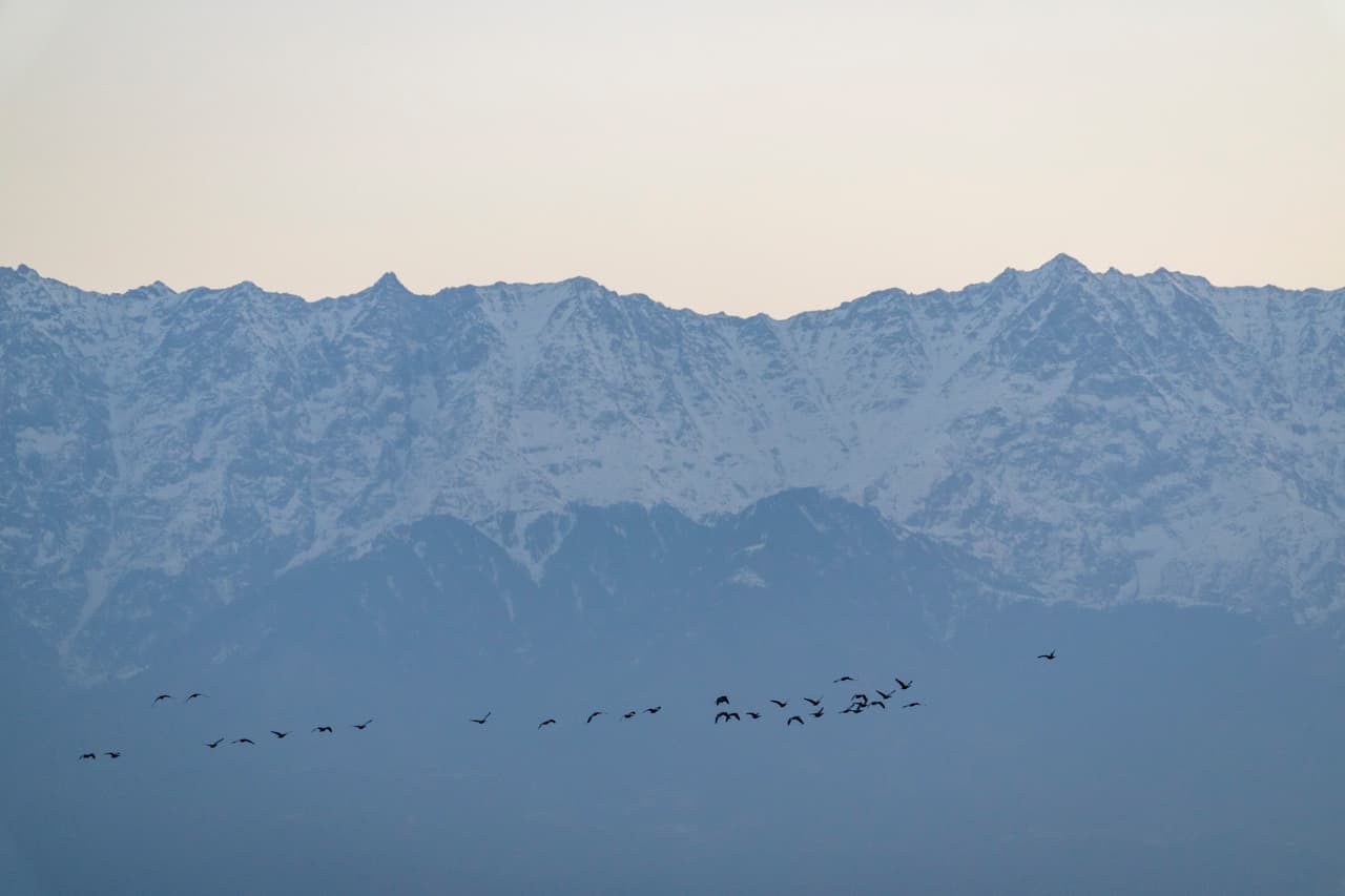 Acusan fraude en rescates en Nepal que implican estafa de 20 millones de dólares