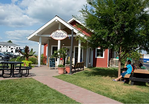 Ubicada en el campus de Newark de la Universidad de Delaware, UDairy Creamery ha elaborado helado con la leche del rebaño 100-Holstein de la Facultad de Agricultura y Ciencias Naturales desde 2008. Más recientemente, la organización sin fines de lucro ha desarrollado sus propios quesos, incluido un Colby picante y mantecoso llamado Delaware Gold y tres sabores de cuajada fresca de queso cheddar. 📍 
<a href="https://www.google.com/maps/place/535+S+College+Ave,+Newark,+DE+19716/@39.664996,-75.7529057,17z/data=!3m1!4b1!4m5!3m4!1s0x89c7a985c70efc2b:0xe4780c780faad258!8m2!3d39.664996!4d-75.7507117" target="_blank">535 S. College Ave., Newark, Del.</a>