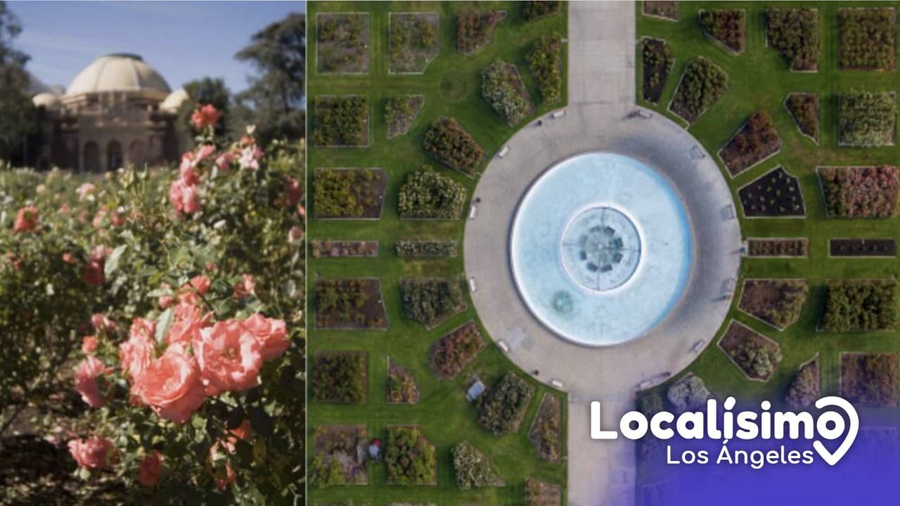 A este jardín con miles de rosas puedes entrar gratis y está en el centro de Los Ángeles