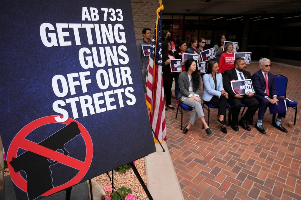 El segundo proyecto de ley contra la violencia armada, identificado como el AB 733, prohibiría que las agencias estatales y locales 
<b>vendan las armas de fuego, municiones y chalecos antibalas</b> que incauten. El proyecto pide destruirlos, para evitar su reutilización en un crimen.