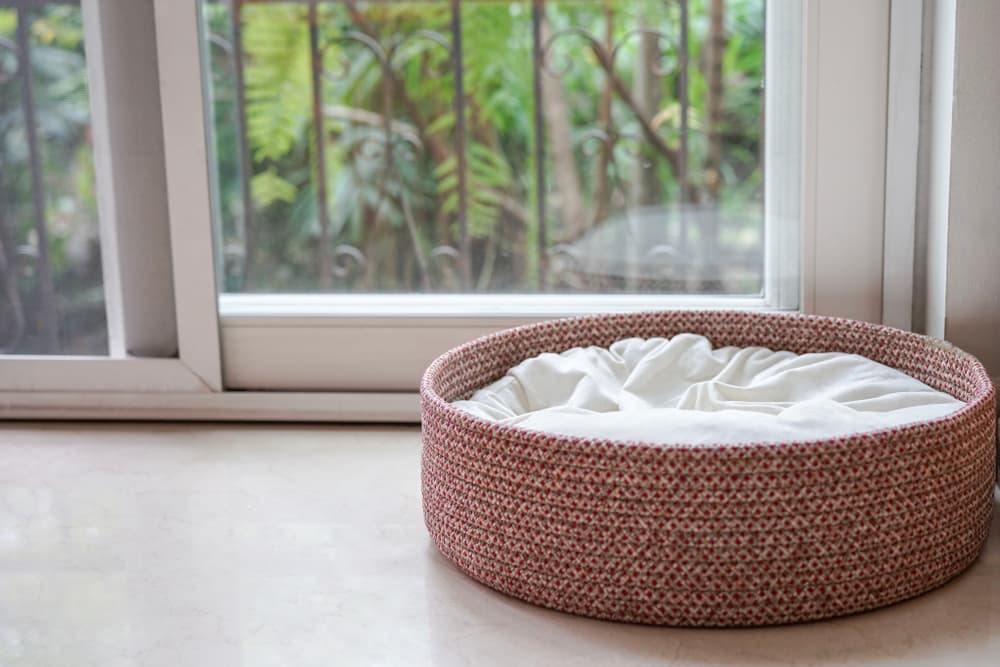 <b>Tus mascotas se van</b>
<br>No todo tiene que ver con cosas tuyas o dolores o síntomas que tengas tú. Los animales saben cuando hay mala energía o tóxica en el ambiente. Puede ser que tu gato decida pasar menos tiempo en la casa o contigo, por ejemplo, porque siente que tienes algo malo.