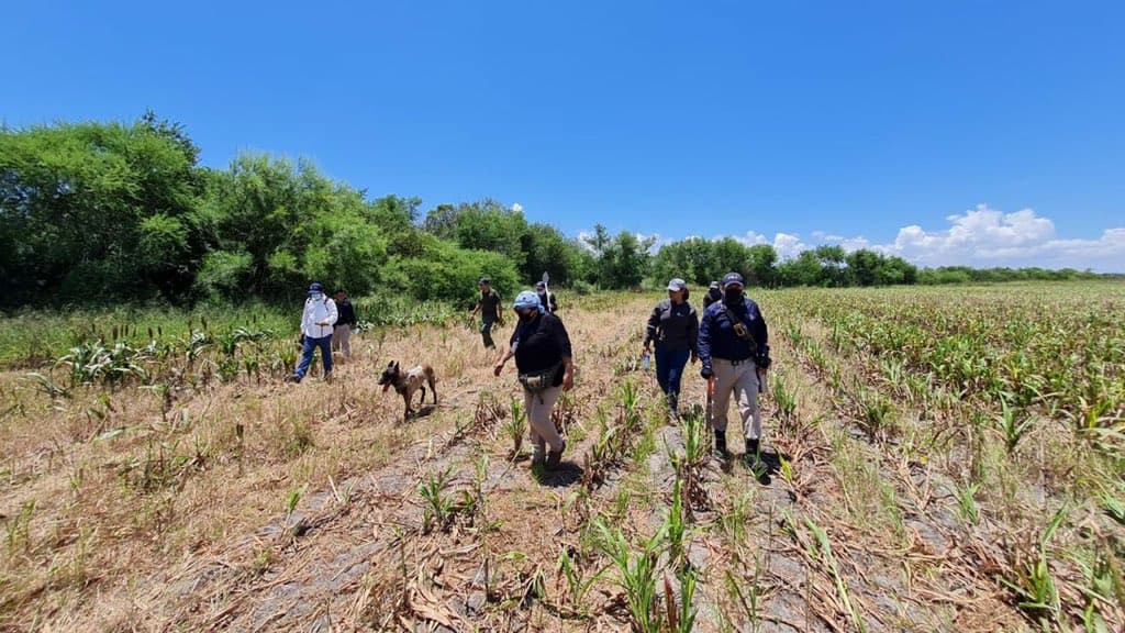 La Bartolina, el "campo de exterminio" del narco mexicano donde madres buscan a sus hijos
