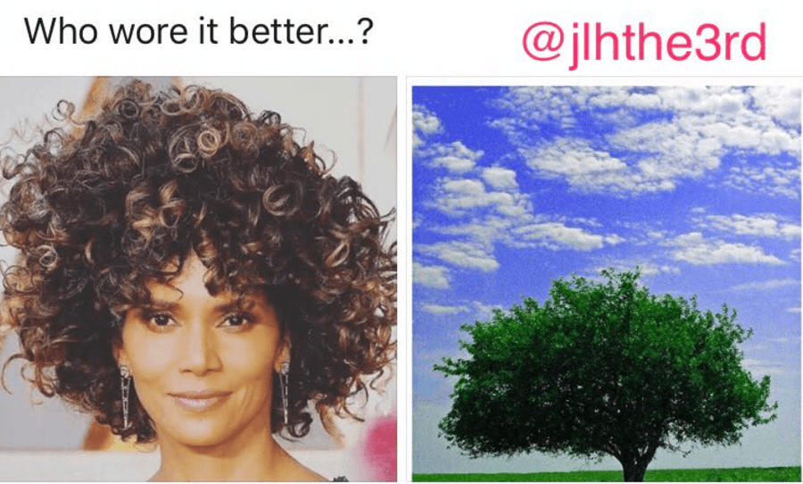 Un árbol o Halle Berry, ¿quién luce mejor?