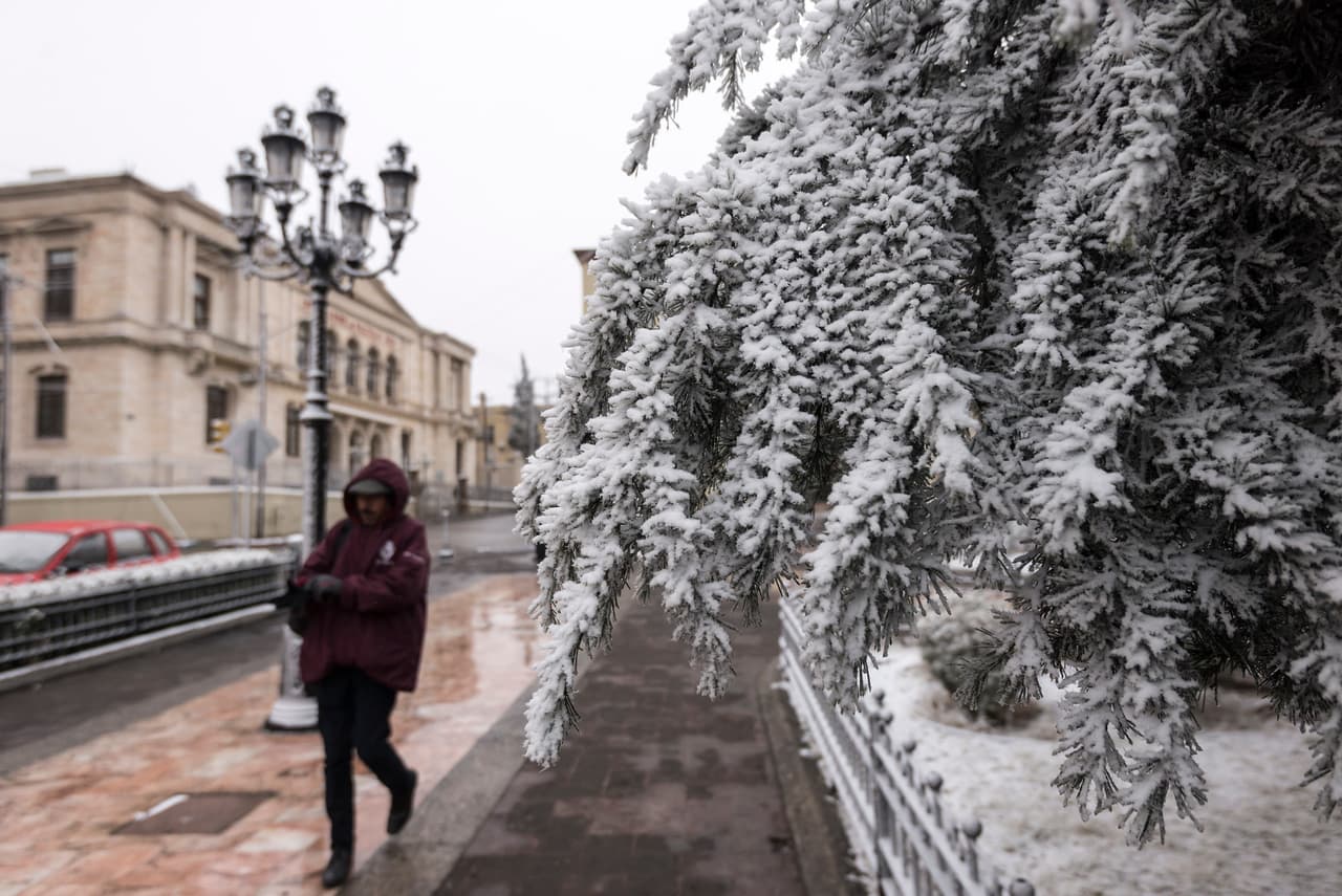 Un árbol cubierto de hielo en una calle de Saltillo. El servicio meteorológico nacional de México indicó que el frio continuará durante todo el día de hoy.