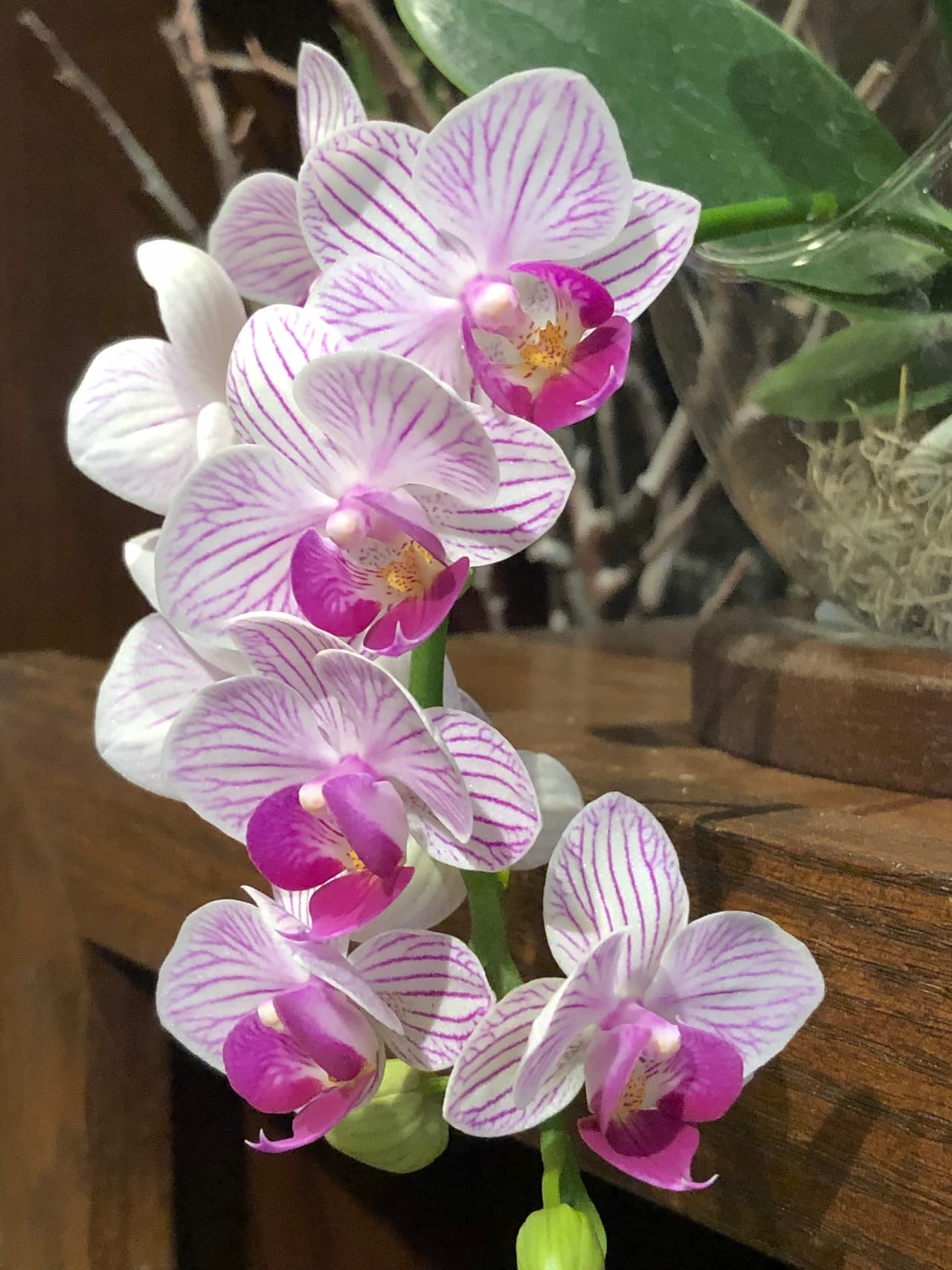 ¡Gracias por tanto, Mamá! 
<br>