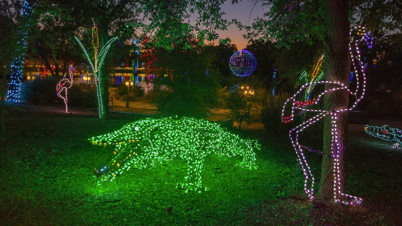 El evento está disponible del 24 de noviembre al 15 de enero de 2021.