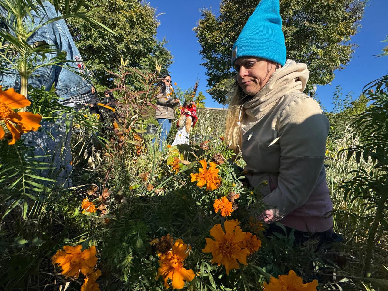 Aunque los días más conocidos son 
<b>el 1 y 2 de noviembre</b>, la tradición mexicana comienza desde antes. 
<br>
<br>La fecha que marca el inicio del altar de muertos comienza, el 27 de octubre que se dedica a las mascotas; el 28, a las personas que murieron en accidentes o de forma trágica; el 29, a quienes fallecieron ahogados; el 30, a las almas del limbo —niños que murieron sin ser bautizados o bebés no nacidos—; el 31 y el 1 de noviembre se dedican a los “muertos chiquitos” o niños; y finalmente, el 2 de noviembre, a los Fieles Difuntos, los adultos.
<br>