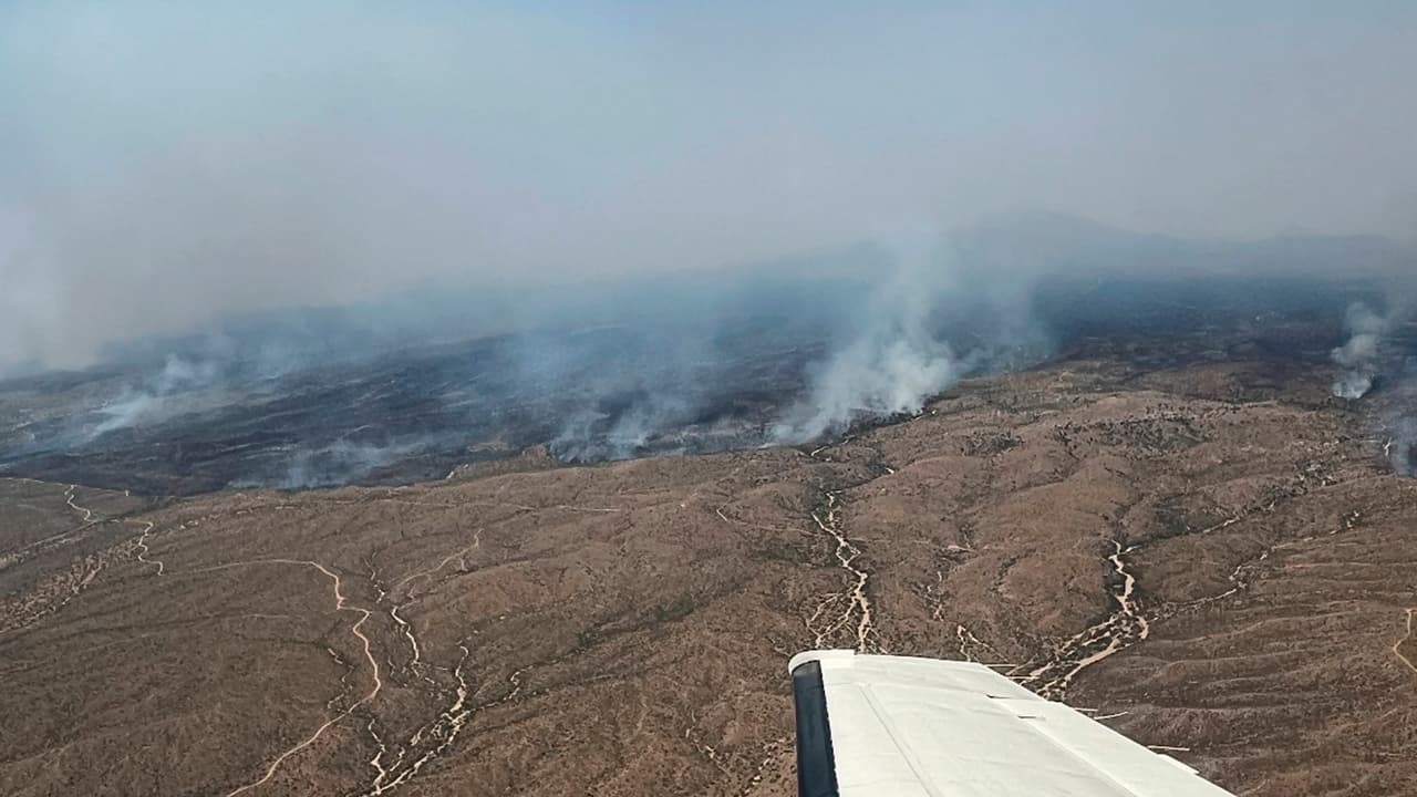 Freeman Fire ha quemado más de 32,000 acres al sur de Arizona, pero avanza su contención
