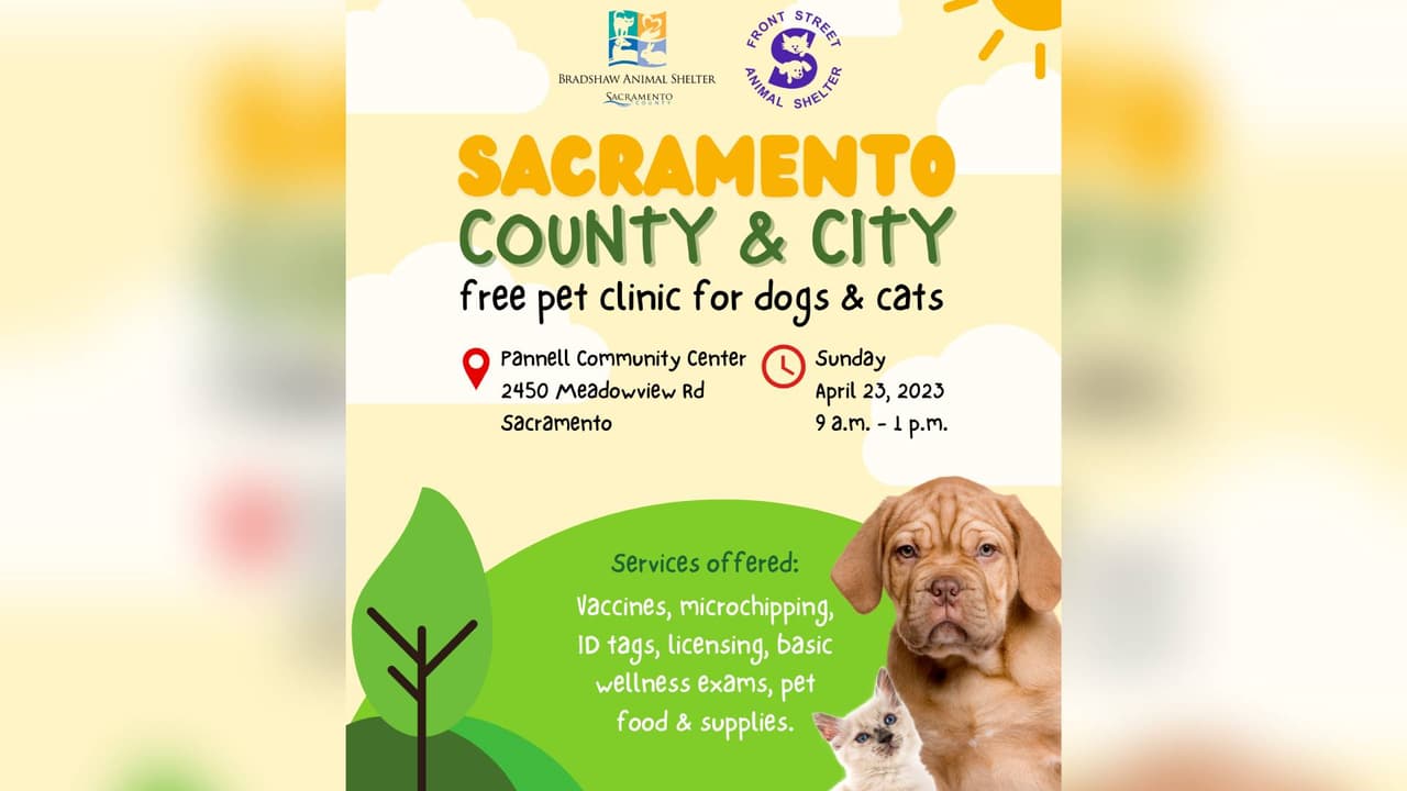 Clínica ofrecerá vacunas gratuitas a perros y gatos en Sacramento