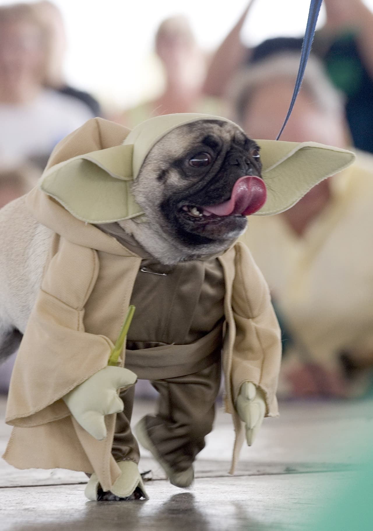<b>Yoda</b>
<br>Los personajes de Star Wars, como Yoda, son parte del repertorio de disfraces más buscados, y fáciles de conseguir, este Halloween.