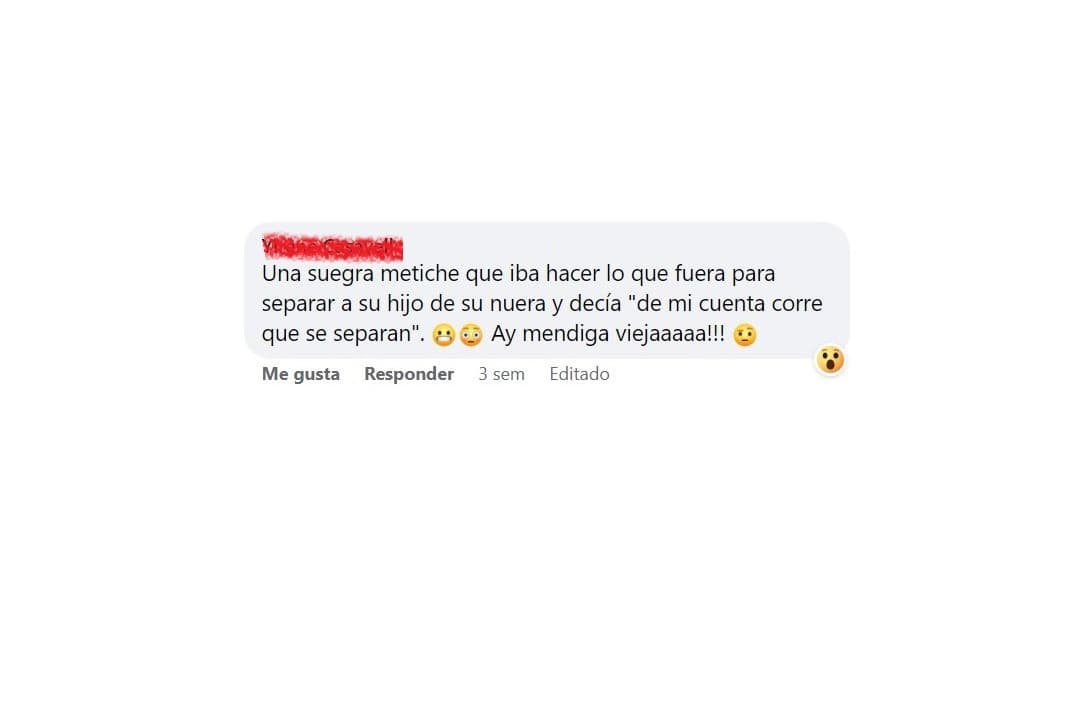 La suegra metiche.