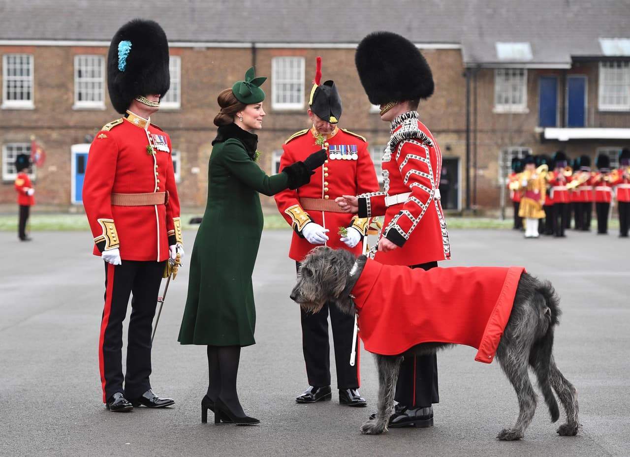 Domhnall, un perro de la raza Irish Wolffhound (lobero irlandés), es la mascota de la Guardia Irlandesa y recibió el saludo por parte de la duquesa de Cambridge.