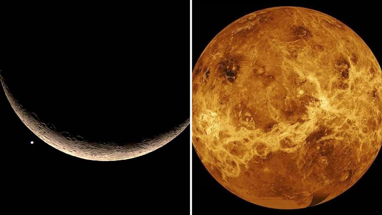 ¿Qué es el beso cósmico?