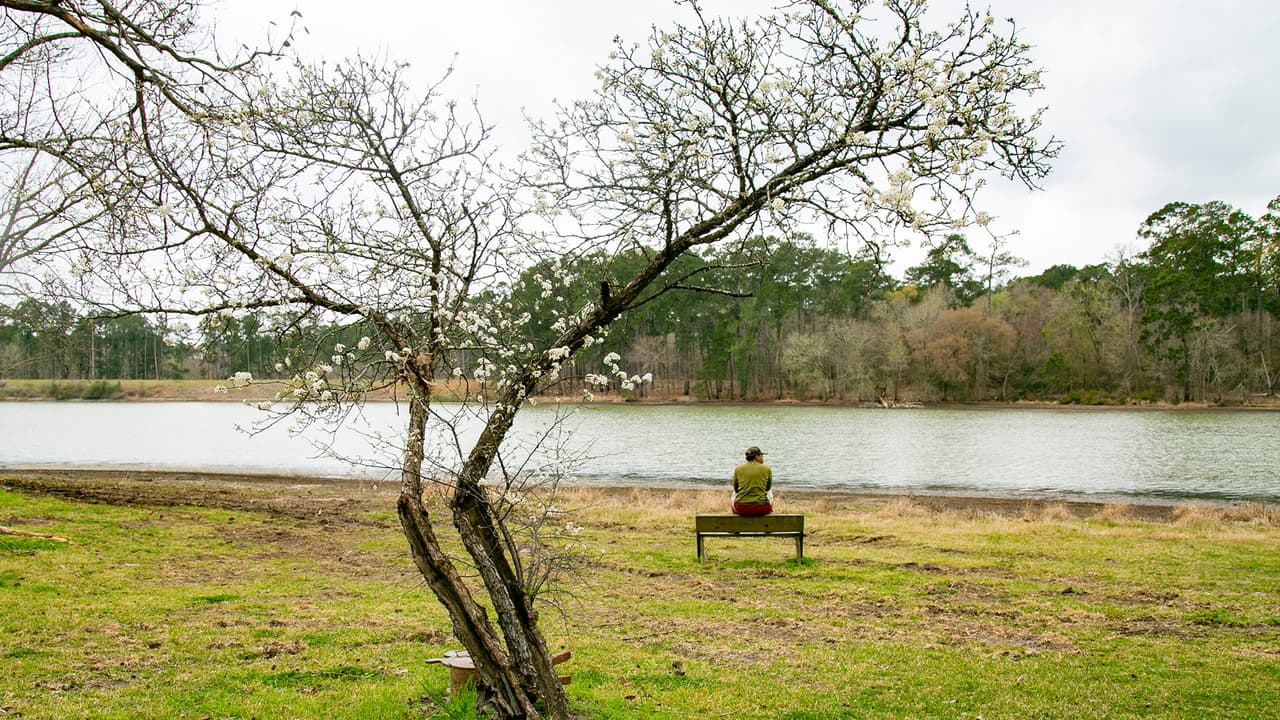 En este parque también se pueden ver caimanes, es importante que los visitantes naden solamente en las áreas designadas y que notifiquen al personal en caso de tener algún encuentro con un reptil. Por ningún motivo intente tener contacto o alimentar a los caimanes.