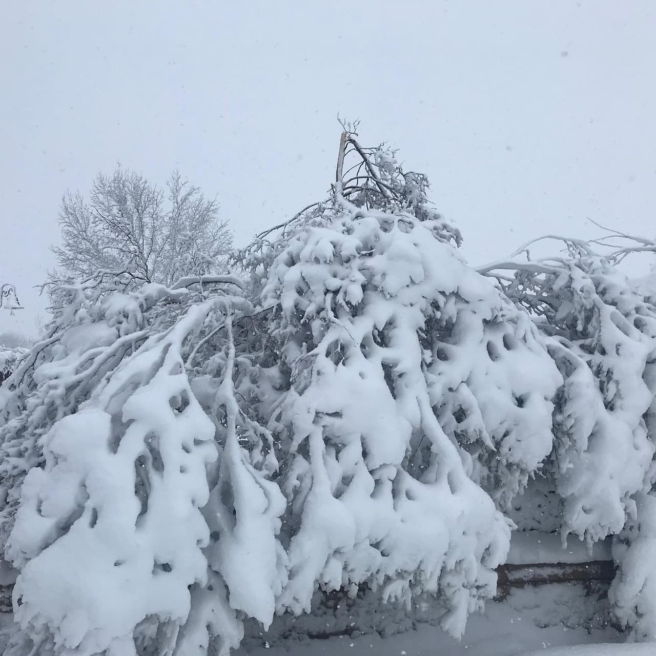 Para obtener mayor información acerca de los cambios en el servicio de retiro de basura, puedes averiguarlo
<a href="https://www.facebook.com/CityOfTehachapi/photos/a.150818478432366/1340675849446617/?type=3&theater" target="_blank">aquí. </a>
