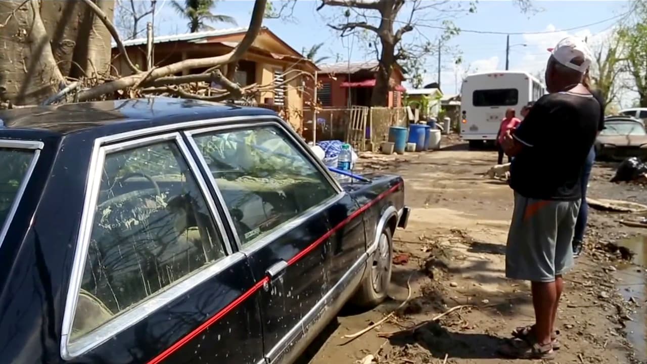 Gobernador dice que hay cuatro muertes sospechosas de leptospirosis en Puerto Rico a tres semanas del azote del huracán María