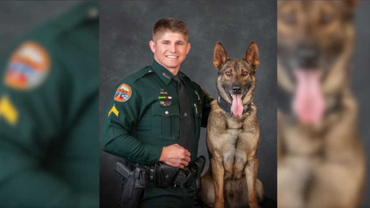 Muere Leo, el K-9 herido en un tiroteo al defender a su manejador en el condado Marion
