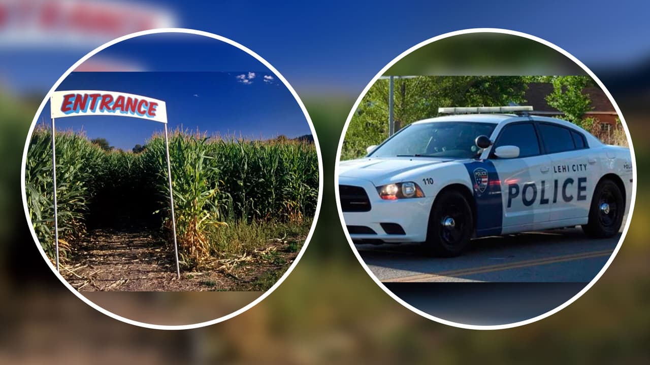 Investigan intento de secuestro a una menor en laberinto de maíz de Cornbelly 