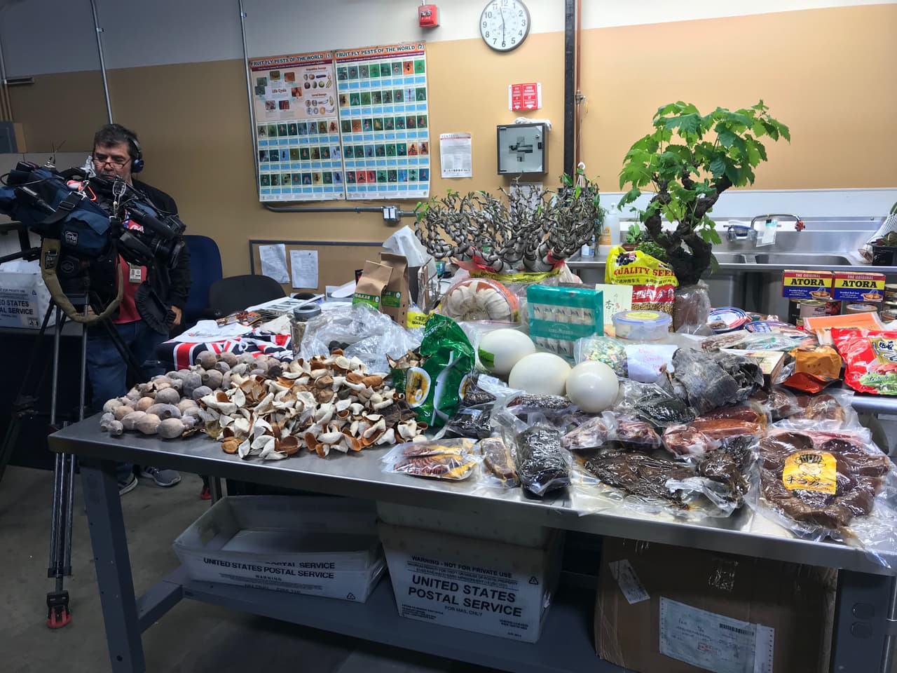 El oficial Jesús Sánchez afirmó que las organizaciones criminales basan su estrategia de distribución de la droga, sobre los volúmenes de correspondencia que se reciben y salen de los Estados Unidos, por lo que mandan millones de paquetes y si pierden uno o dos, no les importa.