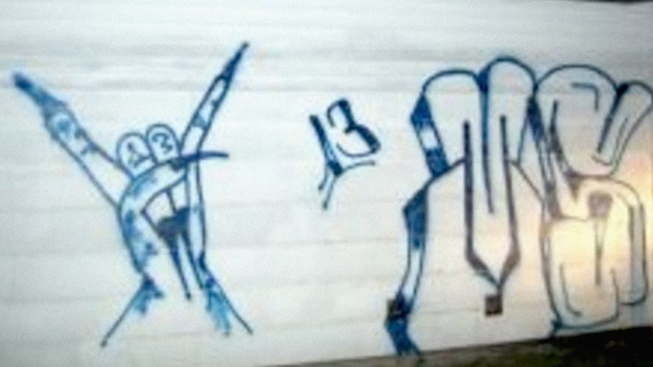 En el 2015, la MS-13 fue elevada a la categoría 1 de grupos que posan un riesgo para la seguridad pública en Texas.