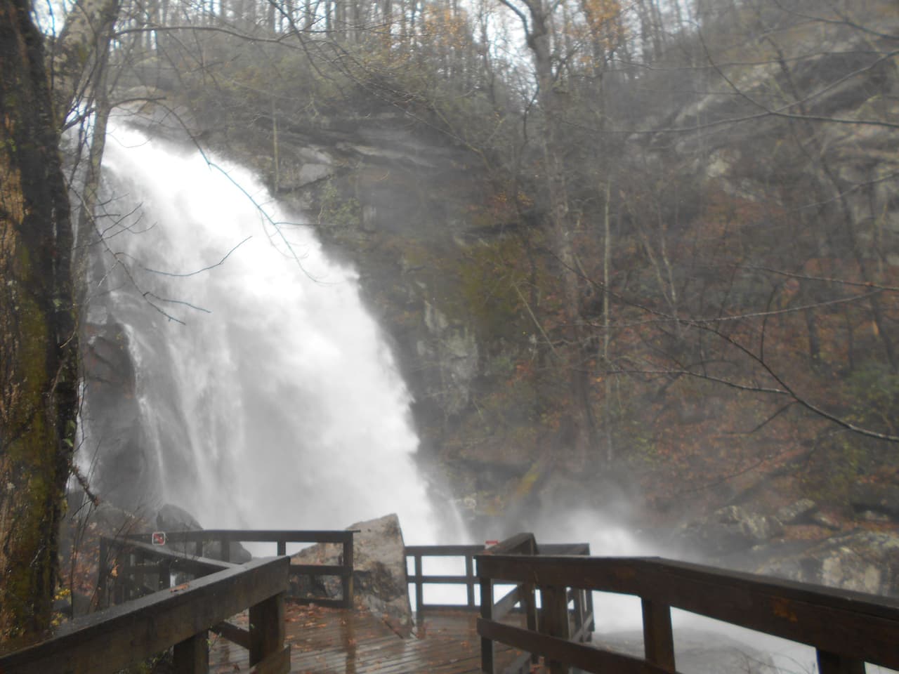 <a href="https://www.ncparks.gov/state-parks/south-mountains-state-park"><b>South Mountains State Park</b></a>. South Mountains State Park tiene más de 40 millas de senderos para caminatas, incluido uno que lleva a los visitantes más allá de una impresionante cascada de 80 pies. El viaje desde el Parque Estatal South Mountains hasta el Parque Nacional Smoky Mountains te lleva a través de algunas de las ciudades montañosas más queridas de Carolina del Norte, como Black Mountain y Asheville, y pasa por algunos de los mejores paisajes montañosos del estado.
<br>
<br>
<a href="https://goo.gl/maps/zoTW4kGdmoW272Tq9"><b>Cómo llegar</b></a>