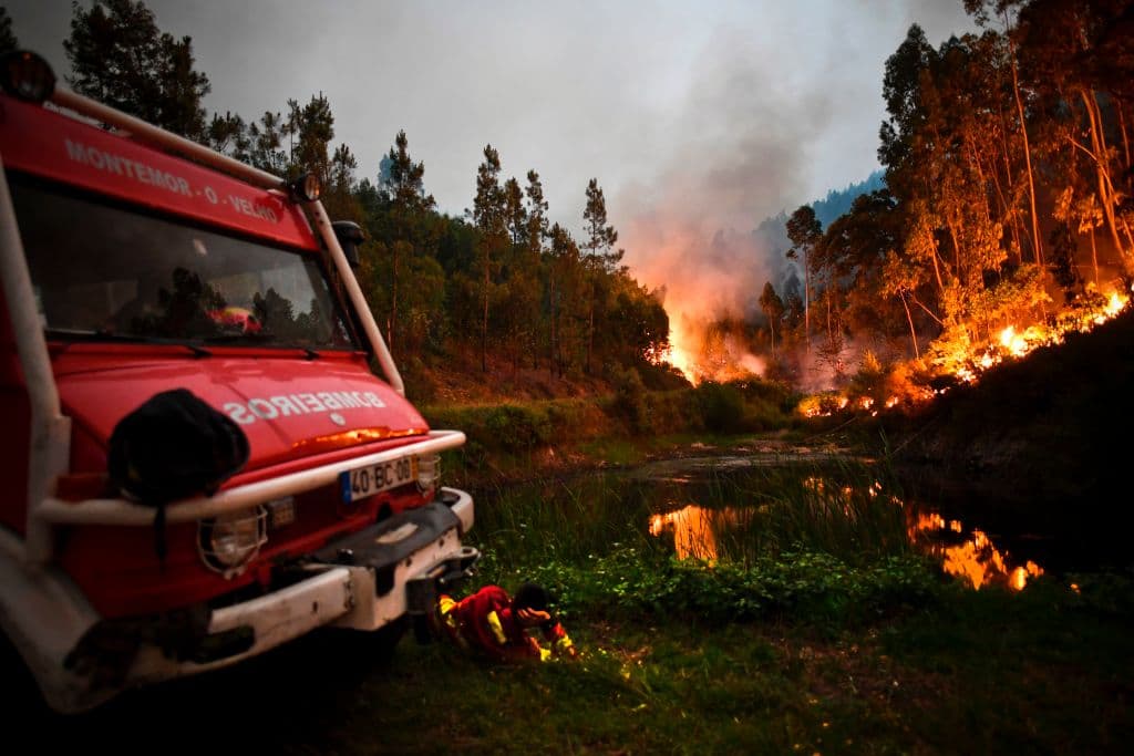"Transmito mi cercanía al querido pueblo portugués, golpeado por un incendio devastador que ha provocado muertos, heridos y destrucción", dijo el papa Francisco.