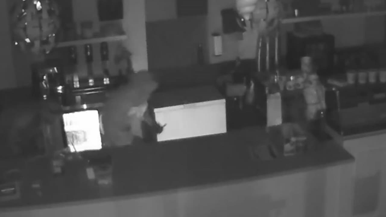 Heladería de San Francisco es víctima de dos robos en una misma mañana