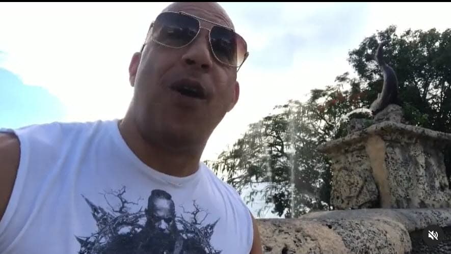 La fuente admitió que sí "hubo seguridad adicional porque toda la familia de Vin estaba allí".
<br>