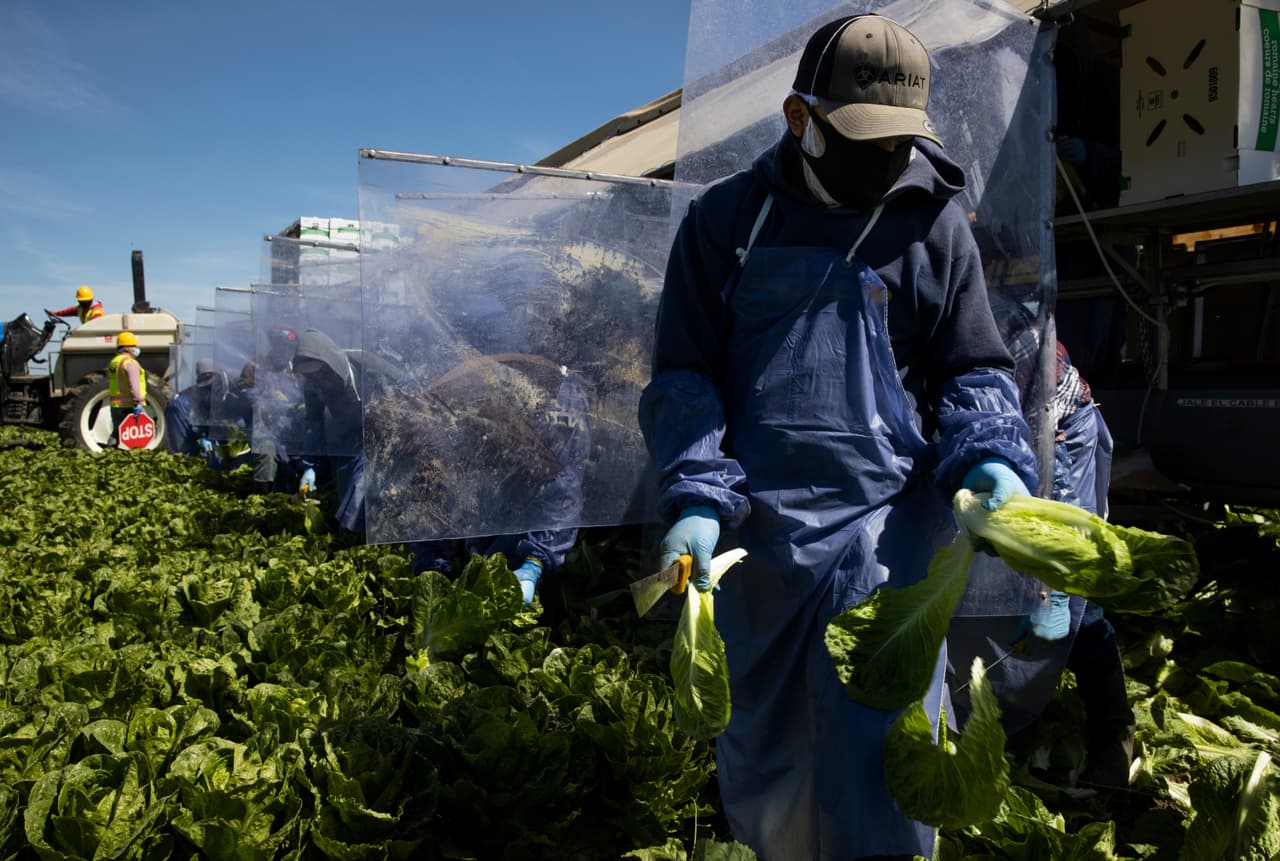 Inmensa mayoría de californianos respalda proteger a los campesinos ante el coronavirus