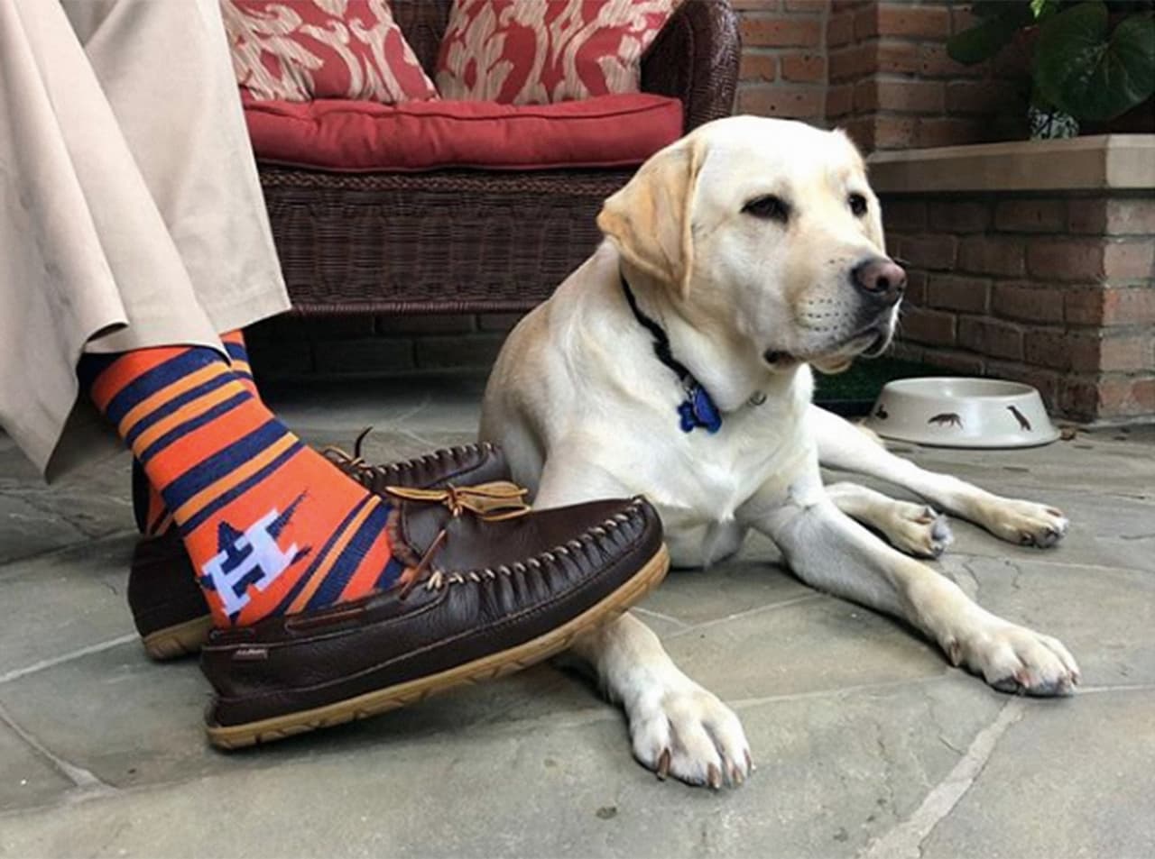 "Naturalmente, como labrador, soy fanático de todos los calcetines, pero estos son los que más me gustan. ¡VAMOS ASTROS! Mi mejor amigo y yo estaremos observando (...) desde #Houston". En esta foto, Sully junto a George Bush padre, alentando al equipo de su dueño. Crédito: Instagram
<a href="https://www.instagram.com/sullyhwbush/?hl=en" target="_blank">sullyhwbush</a>